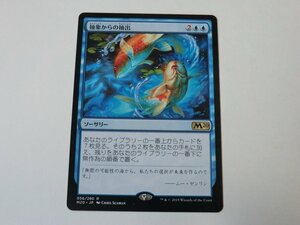 MTG 美品 【抽象からの抽出】 （レア） M20 日 9枚迄