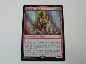 MTG 美品 【猪の祟神、イルハグ】 （神話レア） WAR 日 3枚迄