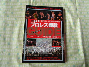 Ｃ１０　’９１ゴング　週刊ゴング１２月２５日号増刊　『プロレス観戦パーフェクトガイド』　日本スポーツ出版社発行　　