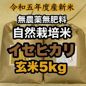 【イセヒカリ】玄米5kg 新米　令和5年度兵庫県産 無農薬無施肥の自然栽培米