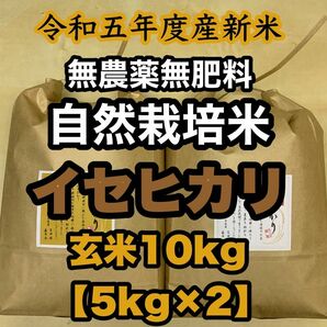 【イセヒカリ】玄米10kg 新米　令和5年度兵庫県産 無農薬無施肥の自然栽培米