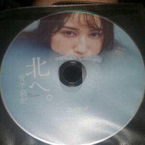 雪平莉左 週刊プレイボーイ付録DVD