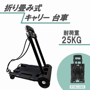 台車 ハンディカート キャリーカート キャリーワゴン カート アウトドア ワゴン 買物 カゴ 折りたたみ コンパクト 軽量 高さ3段階 送料込