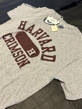 ◆即決送料込み◆アメリカ購入未使用タグ付ハーバード大学カレッジTシャツM◆HARVARDアメカジ_画像1