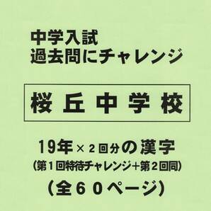 【特典付き】桜丘中学校（東京）の１９年分の過去問『漢字の読み・書き』