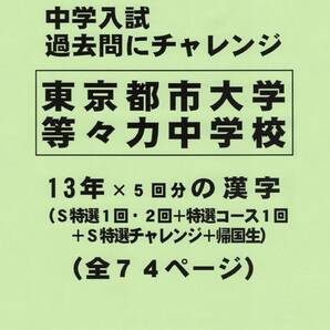 【特典付き】東京都市大学等々力中学校（東京）１３年分の過去問『漢字の読み・書き』