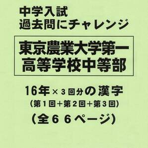 【特典付き】東京農業大学第一高等学校中等部（東京）の１６年分の過去問『漢字』