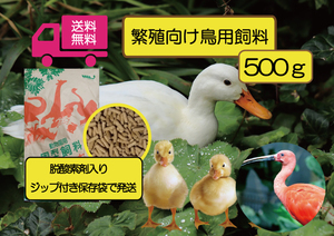 ☆送料無料 少量お試し用【アヒル・コールダック用繁殖、ヒナ向け飼料】500ｇ　 水鳥全般、トキ用として