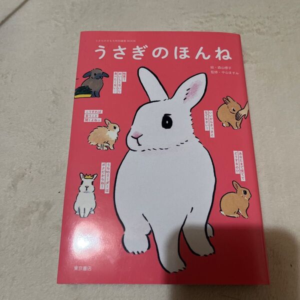 うさぎのほんね 森山標子/絵 中山ますみ/監修