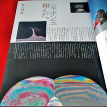 e-472　写楽　1981年3月号　高見知佳　岡林信康　原発の心臓　人形に魂をふきこむ　シャボン玉翔んだ※9 _画像3