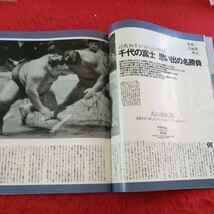 b-647 ナンバー 新風!大相撲 さらば千代の富士 若花田 高花田 曙太郎 平幕力士優勝物語 など 文藝春秋 平成7年発行※9 _画像5