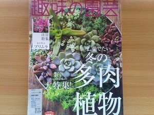 即決 趣味の園芸 保存版 冬の多肉植物 ユーフォルビア 鶴岡秀明(鶴仙園) サボテンとの見分け方・アエオニウムを育てる・多肉ボールの作り方