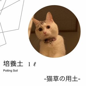 【有機培養土】猫草の用土１Ｌ