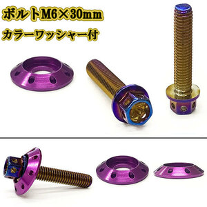 M6 30mm P1.0 フランジ付六角ボルト カラーワッシャー フジツボ 座面枠付 20mm ナンバー フェンダー 車 バイク 焼きチタン×パープル