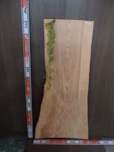 0112501 杉●厚約1.2cm☆無垢板１枚板 木材 板 DIY 板材 天板 棚板 テーブル 看板 花台など種類豊富！