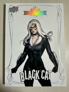 激レア！UD marvel exquisite black cat