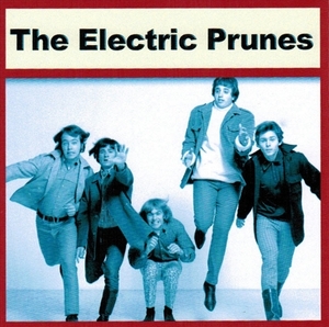 ELECTRIC PRUNES 大全集 MP3CD 1P♪