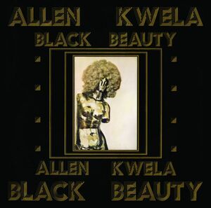 新品　ALLEN KWELA / BLACK BEAUTY (LP)