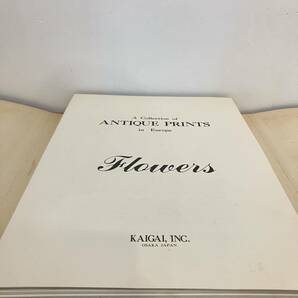 231027【図版欠あり格安】「A Collection of ANTIQUE PRINTS in Europe Flowers」KAIGAI.INC★花柄テキスタイル レトロ当時物古書 美術書の画像6