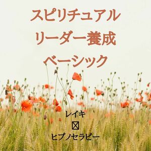 ★あなたの魂の輝きを解き放つ：スピリチュアル養成の魔法養成講座★ ヒプノ 催眠療法士・ レイキ ★非売品★★