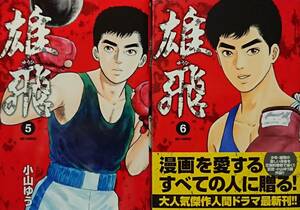 ◇セット◇雄飛(5-6巻)／小山ゆう◇ビッグコミックス◇※送料別 匿名配送 初版