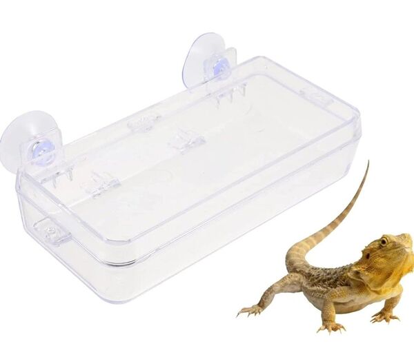 最終値下げ!大特価!レア商品!爬虫類 フィーダー アクリルケージ 飼育ケース 給水器