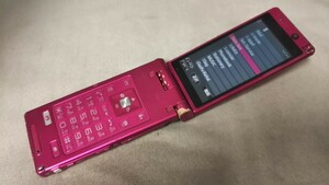 DG4718 docomo FOMA P-01B Panasonic ガラケー ケータイ 折り畳み式 簡易動作確認＆簡易清掃＆初期化OK 判定○ 現状品 送料無料　