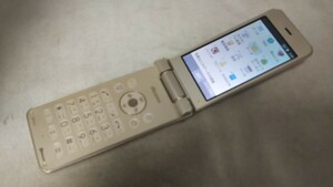 DG4728 docomo SIMフリー AQUOSケータイ SH-01J SHARP 4Gガラホ 簡易確認＆簡易清掃＆初期化OK 判定○ WebにてSIMロック解除手続受付済み