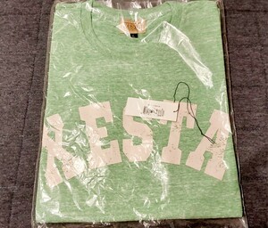 ゼスタ(XESTA) ヘザー Tシャツ (スローピッチ) ヘザーグリーン　(L)