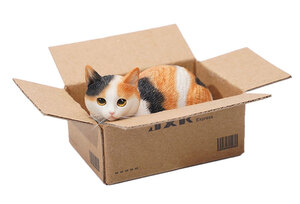 *JXK Studio *1/6 small cat in * The * cardboard 2.0 B Tri-Color(JS-2302B)6939