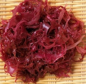 8[ super-discount! on quality!] Shizuoka prefecture . legume production red ... paste 500g [ high class gift Mother's Day Father's day Bon Festival gift present gift inside festival red tosaka seaweed domestic production ]