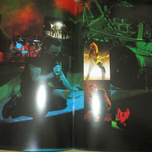 ツアー・パンフレット クイーンズライク クイーンズライチ  Queensryche JAPAN TOUR 1991年  の画像9