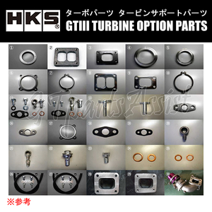 HKS タービンオプションパーツ GTIII-RS用 BANJO OIL INLET 1408-RA021