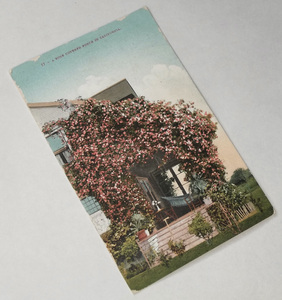 戦前 絵葉書 アメリカ カリフォルニア 薔薇に覆われたポーチ Rose coverd poach 住宅 庭 風景 色刷り ビンテージ アンティーク 海外