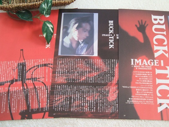 2023年最新】ヤフオク! -buck-tick(切り抜き)の中古品・新品・未使用品一覧