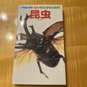 昆虫 （小学館の図鑑ＮＥＯ　ＰＯＣＫＥＴ　１） 小池啓一/小野展嗣/町田龍一郎/田辺力