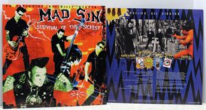 サイコビリー◆MAD SIN - Survival Of The Sickest!◆マッド・シン LP ROCKABILLY PSYCHOBILLY ロカビリー !