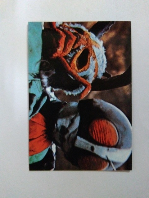 ヤフオク! - 旧カルビー 仮面ライダーカード 206番 ギリザメスのしめ...