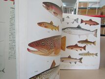 л6797　世界の一級品シリーズ　カラー版　釣魚大全　角川書店　値段書き込みあり　大型本_画像3