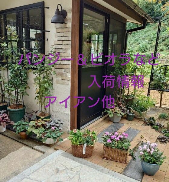 寄せ植え　花 