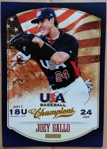 ★JOEY GALLO ジョーイ ギャロ ガロ PANINI 2013 USA BASEBALL #116 MLB メジャーリーグ HOUSTON ASTROS ヒューストン アストロズ