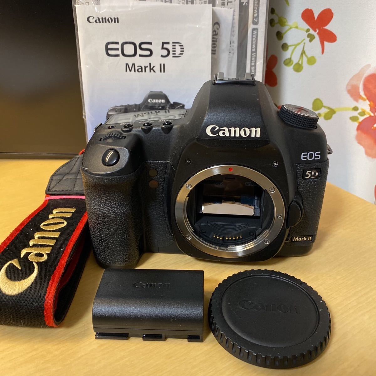 Canon EOS-5D Mark2 一眼レフカメラ ボディのみ シャッター数234128回