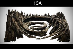 【オンリーワン品】森の螺旋幻想: 90センチ水槽の魔法的アクアレイアウト