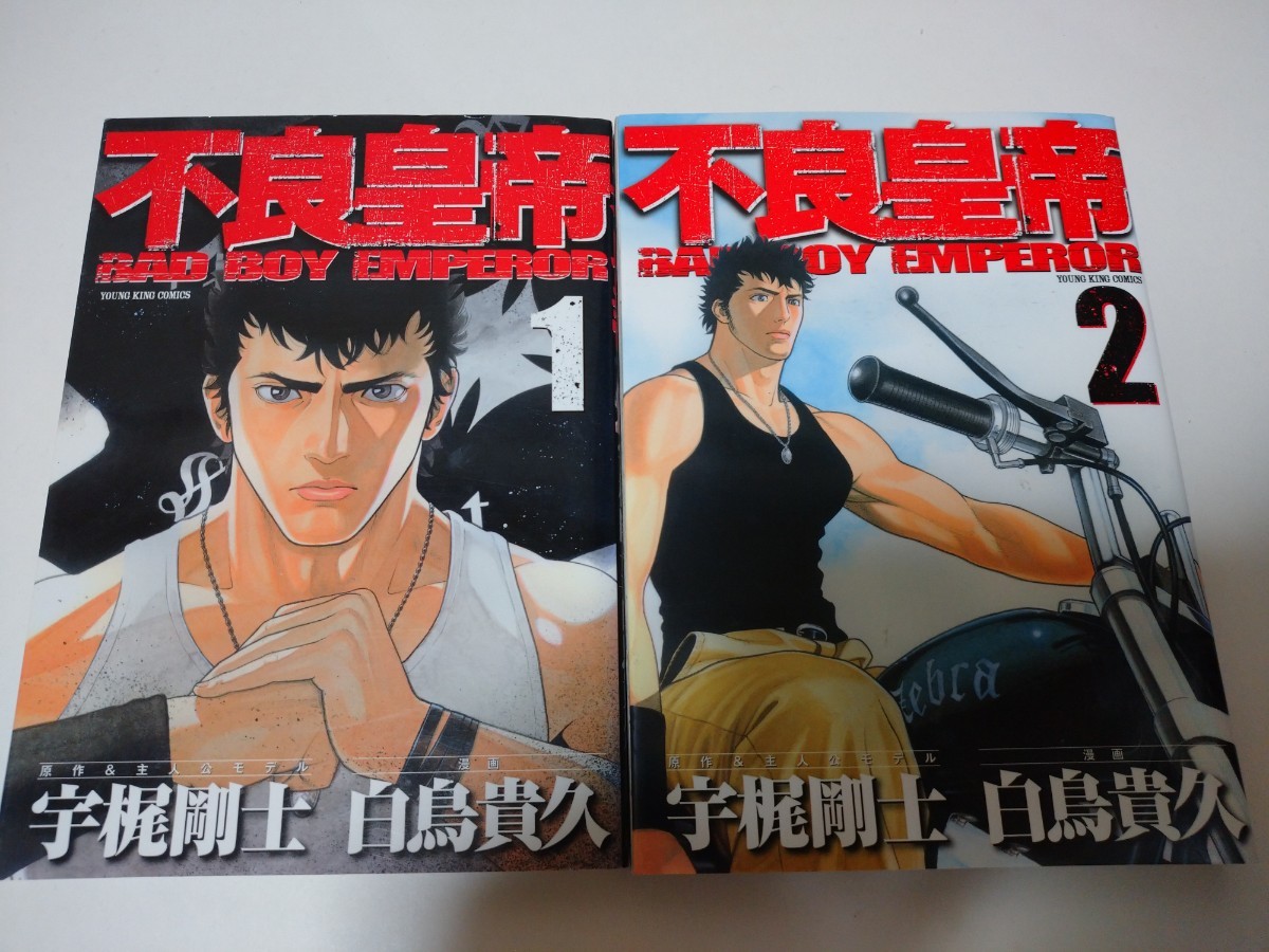 絶版漫画の値段と価格推移は?|6件の売買データから絶版漫画の価値が