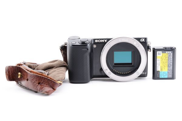 2023年最新】ヤフオク! -sony nex-5tの中古品・新品・未使用品一覧