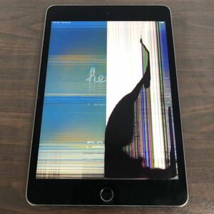 5385【早い者勝ち】電池最良好☆iPad mini5 第5世代 64GB WIFIモデル A2133 ☆☆