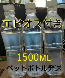 特別価格！。ゾウリムシ　1500ml　＆　エビオス10錠　メダカ　めだか　金魚　ミジンコの餌に…