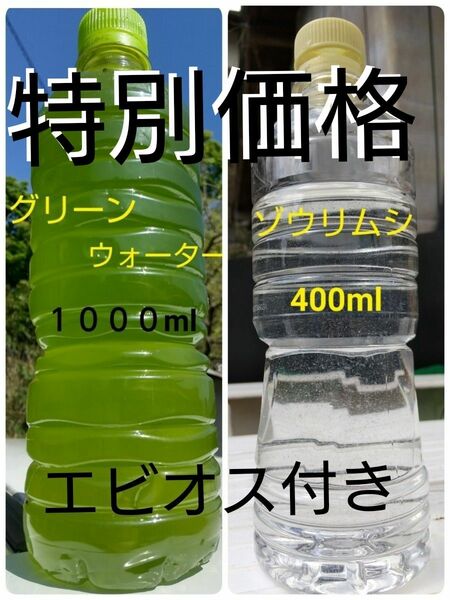 天然　グリーンウォーター(種水　青水)　1000ml　&　ゾウリムシ　400ml　&　エビオス10錠。ペットボトル発送。