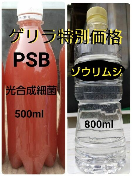 PSB(光合成細菌)500ml＆ゾウリムシ　800ml　メダカやミジンコの餌