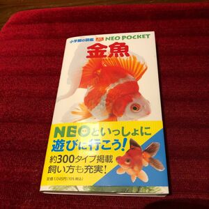 小学館の図鑑　NEO POCKET 金魚